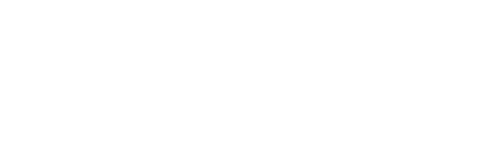 Logo Elevigo Academy
